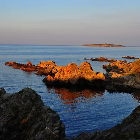 Savovi