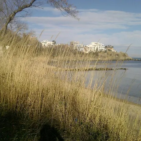 Savovi Черноморец